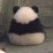 회원사진